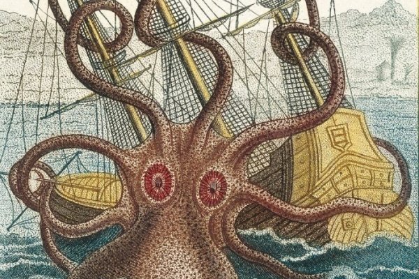 Kraken cc зеркало kr2web in