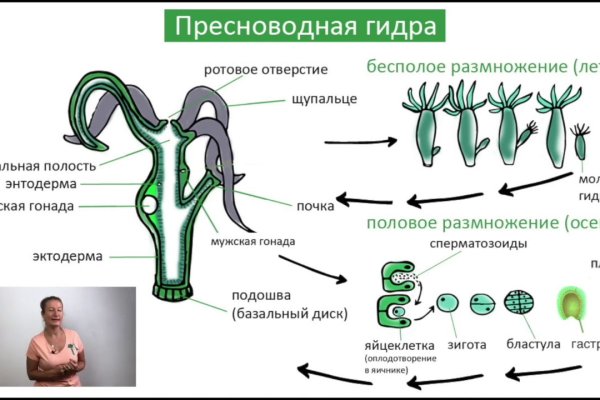 Kraken clear ссылка