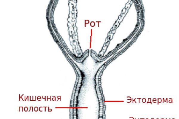 Vk kraken