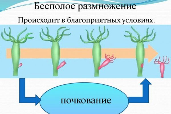 Ссылка кракен зеркало тор