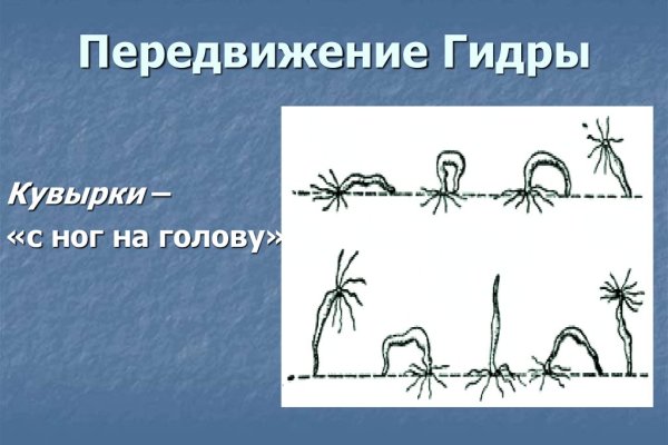 Kraken18 at